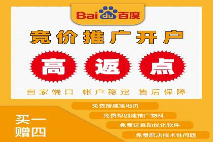 百度竞价广告投放成功案例解析